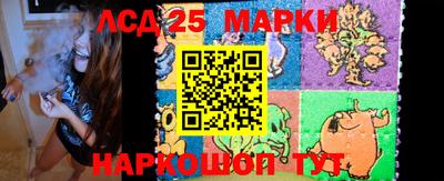 гидропоника Кингисепп