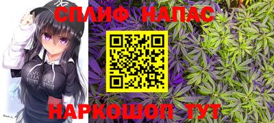 гидропоника Кингисепп