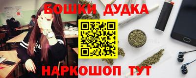 гидропоника Кингисепп