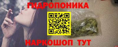 крисы Кимры
