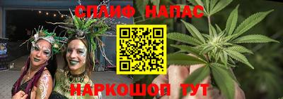 крисы Кимры