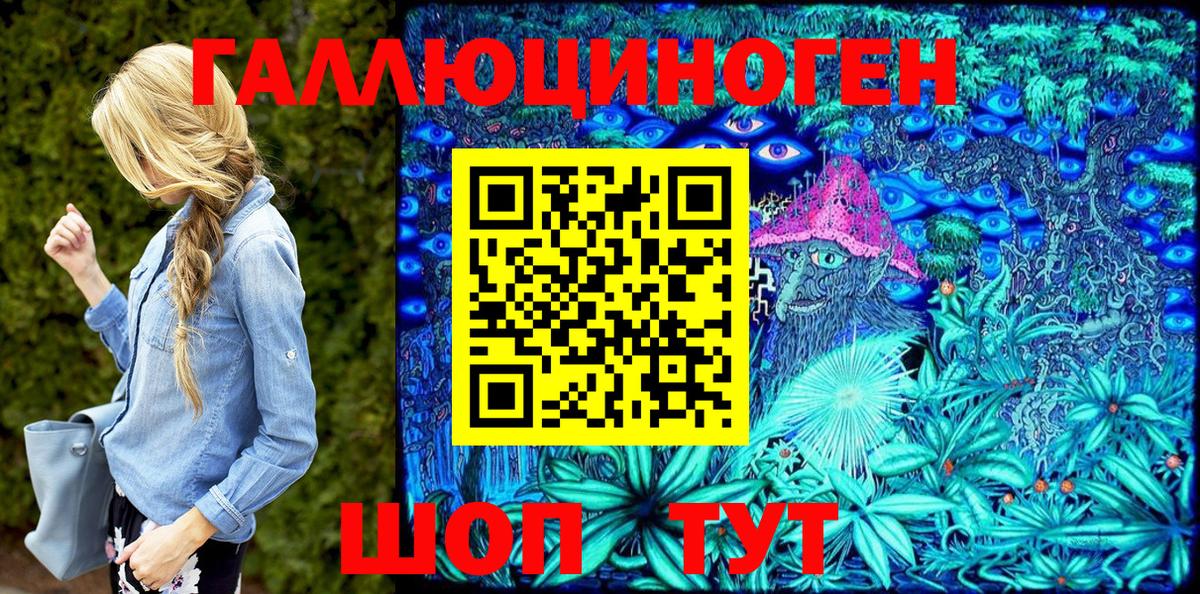 Галлюциногенные грибы Psilocybe Челябинск