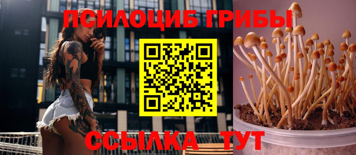 Псилоцибиновые грибы Magic Shrooms  Галлюциногенные грибы Psilocybine cubensis  Вход с VPN  Челябинск 