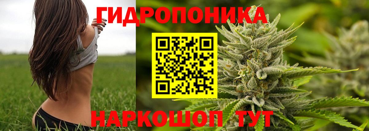 Челябинск  Марихуана марихуана  МАРИХУАНА ГИДРОПОН  Конопля White Widow  Вход с VPN  Каннабис семена 